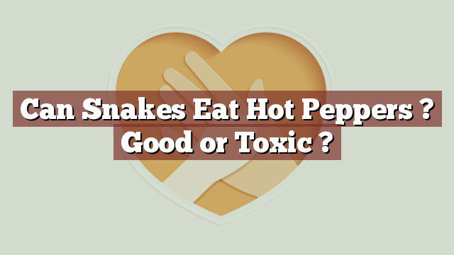 Can Snakes Eat Hot Peppers ? Good or Toxic ?