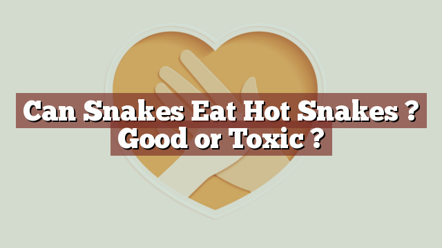 Can Snakes Eat Hot Snakes ? Good or Toxic ?