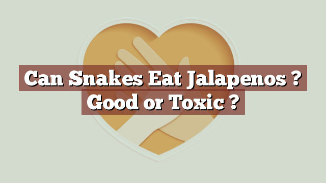 Can Snakes Eat Jalapenos ? Good or Toxic ?