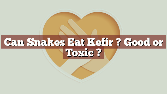 Can Snakes Eat Kefir ? Good or Toxic ?