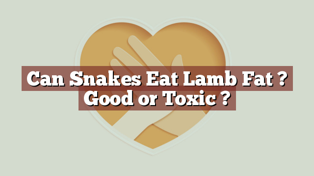 Can Snakes Eat Lamb Fat ? Good or Toxic ?