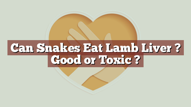 Can Snakes Eat Lamb Liver ? Good or Toxic ?
