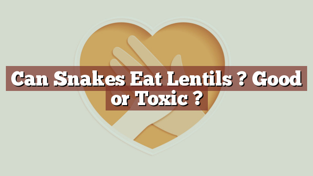Can Snakes Eat Lentils ? Good or Toxic ?