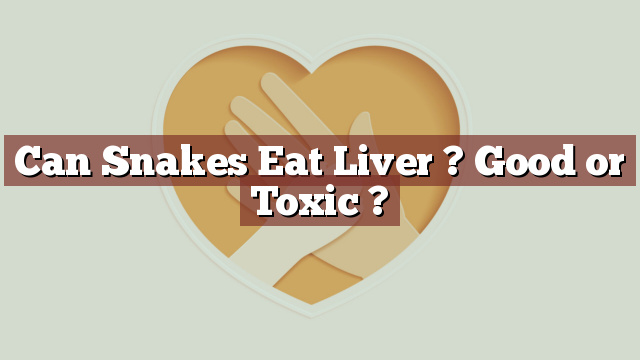 Can Snakes Eat Liver ? Good or Toxic ?