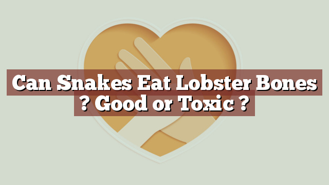 Can Snakes Eat Lobster Bones ? Good or Toxic ?