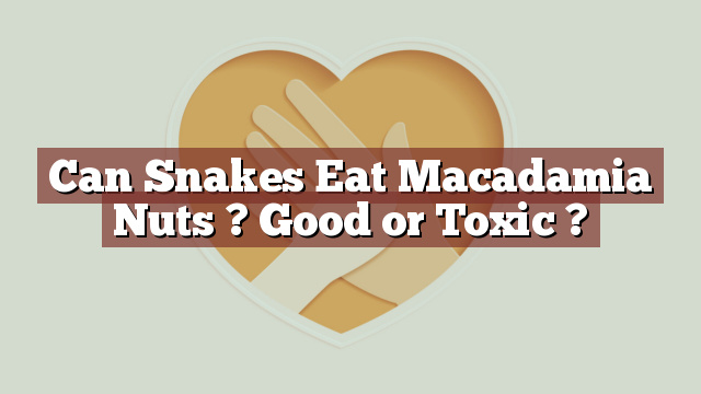Can Snakes Eat Macadamia Nuts ? Good or Toxic ?