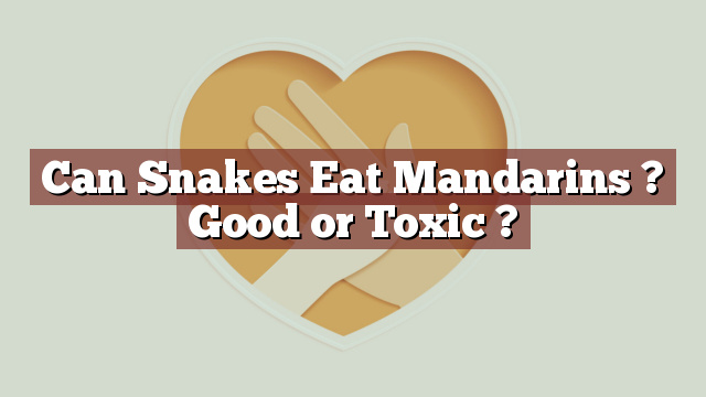 Can Snakes Eat Mandarins ? Good or Toxic ?