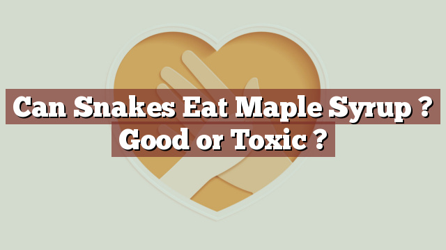 Can Snakes Eat Maple Syrup ? Good or Toxic ?