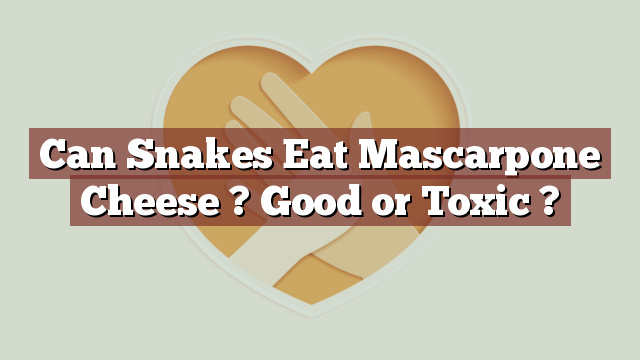 Can Snakes Eat Mascarpone Cheese ? Good or Toxic ?