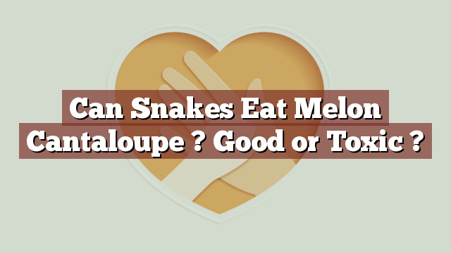 Can Snakes Eat Melon Cantaloupe ? Good or Toxic ?