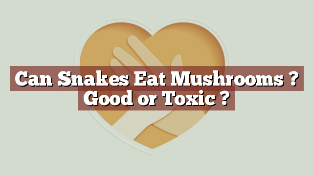 Can Snakes Eat Mushrooms ? Good or Toxic ?