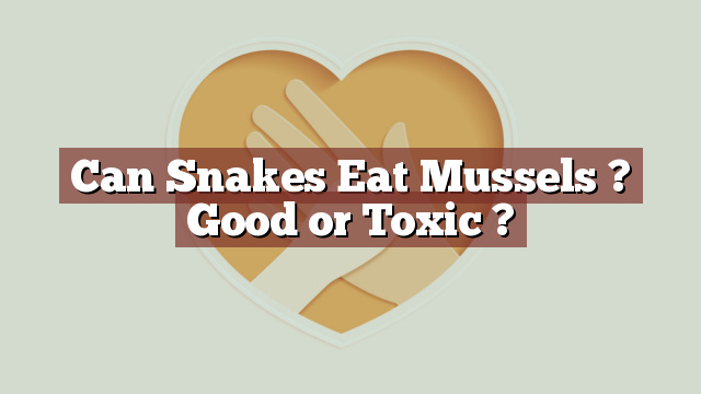 Can Snakes Eat Mussels ? Good or Toxic ?