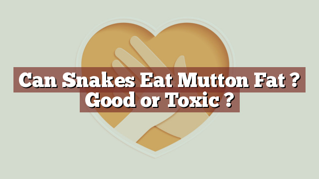 Can Snakes Eat Mutton Fat ? Good or Toxic ?