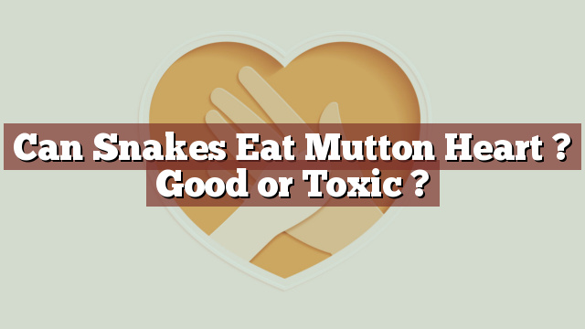 Can Snakes Eat Mutton Heart ? Good or Toxic ?