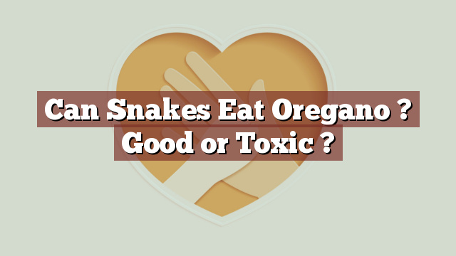 Can Snakes Eat Oregano ? Good or Toxic ?
