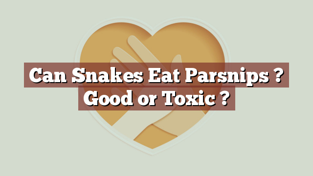 Can Snakes Eat Parsnips ? Good or Toxic ?