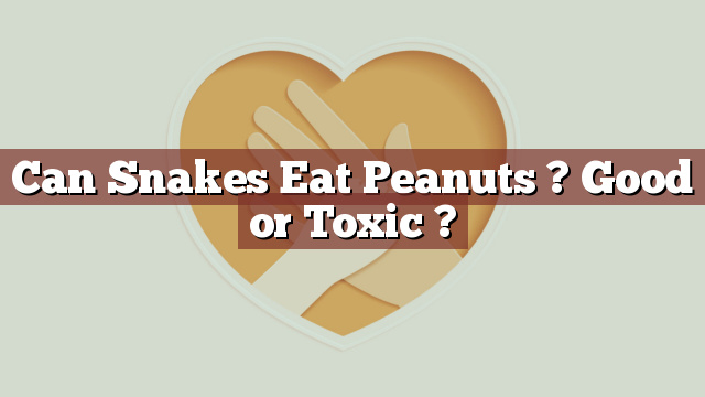 Can Snakes Eat Peanuts ? Good or Toxic ?