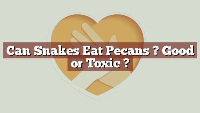 Can Snakes Eat Pecans ? Good or Toxic ?