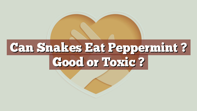 Can Snakes Eat Peppermint ? Good or Toxic ?