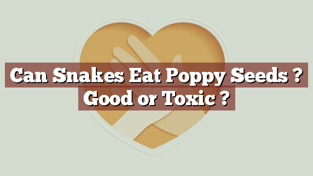 Can Snakes Eat Poppy Seeds ? Good or Toxic ?