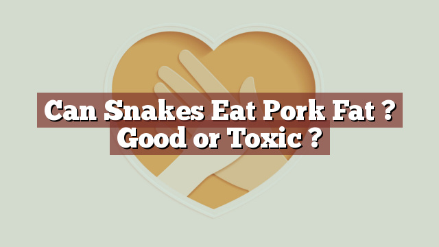 Can Snakes Eat Pork Fat ? Good or Toxic ?