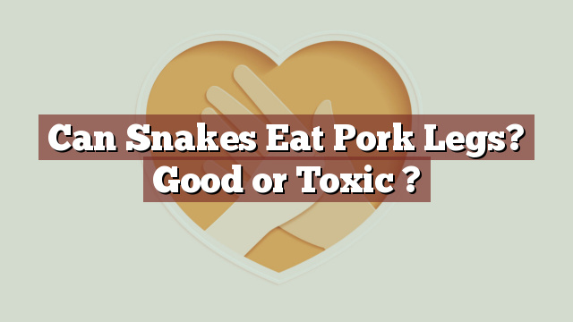 Can Snakes Eat Pork Legs? Good or Toxic ?