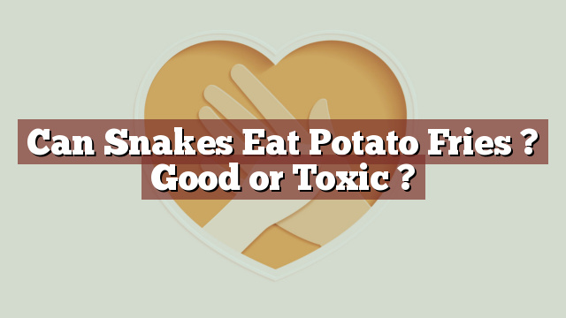 Can Snakes Eat Potato Fries ? Good or Toxic ?