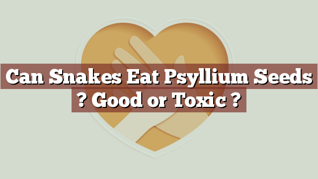 Can Snakes Eat Psyllium Seeds ? Good or Toxic ?