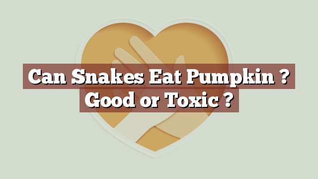 Can Snakes Eat Pumpkin ? Good or Toxic ?