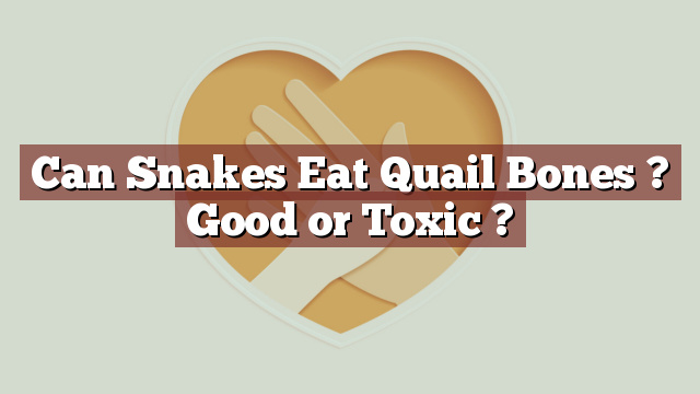 Can Snakes Eat Quail Bones ? Good or Toxic ?