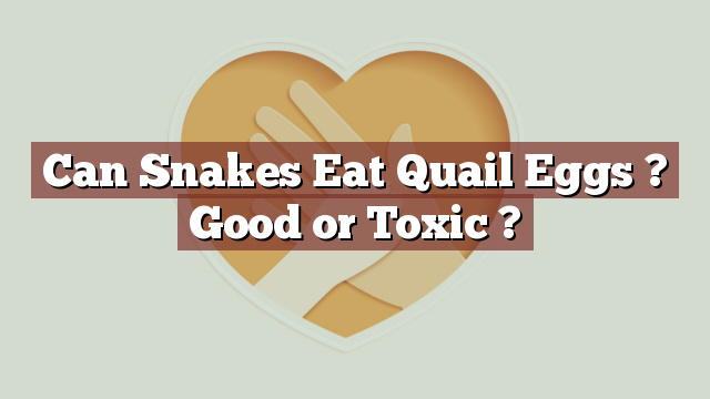 Can Snakes Eat Quail Eggs ? Good or Toxic ?