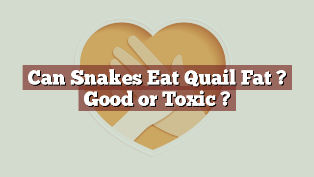 Can Snakes Eat Quail Fat ? Good or Toxic ?