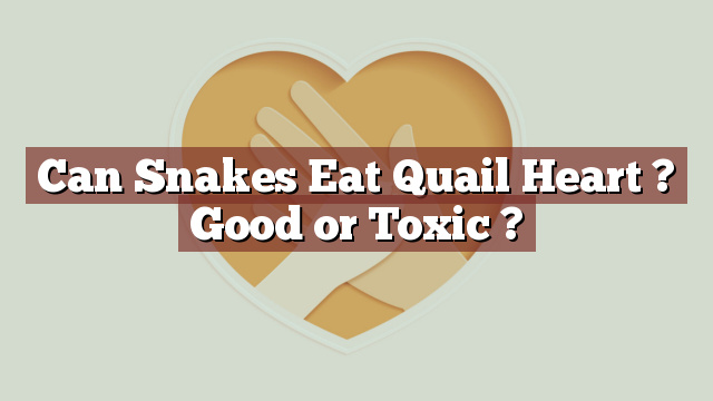 Can Snakes Eat Quail Heart ? Good or Toxic ?