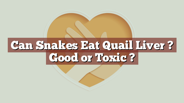 Can Snakes Eat Quail Liver ? Good or Toxic ?