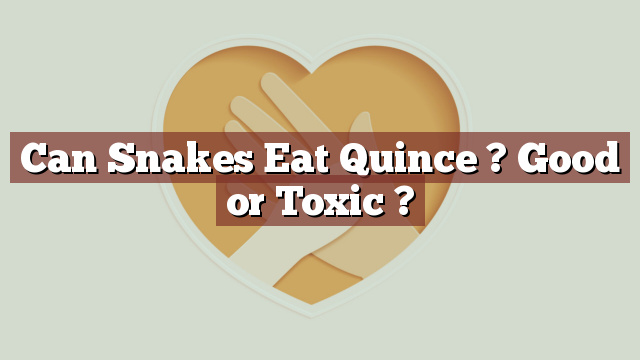 Can Snakes Eat Quince ? Good or Toxic ?