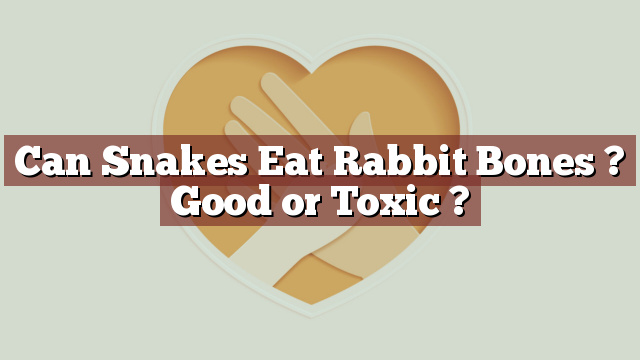 Can Snakes Eat Rabbit Bones ? Good or Toxic ?