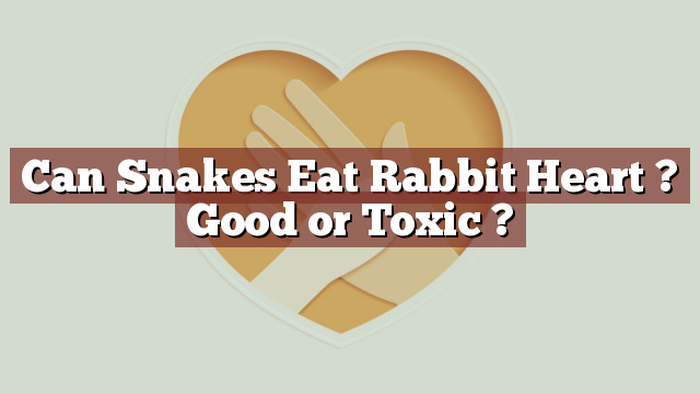 Can Snakes Eat Rabbit Heart ? Good or Toxic ?