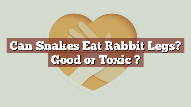 Can Snakes Eat Rabbit Legs? Good or Toxic ?