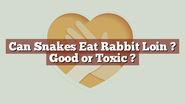 Can Snakes Eat Rabbit Loin ? Good or Toxic ?