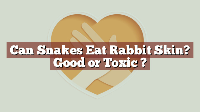 Can Snakes Eat Rabbit Skin? Good or Toxic ?