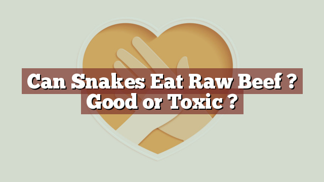 Can Snakes Eat Raw Beef ? Good or Toxic ?