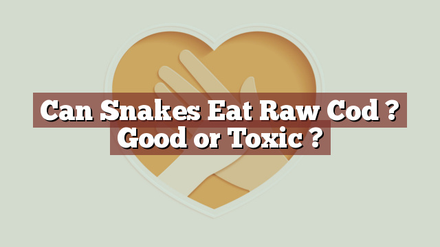 Can Snakes Eat Raw Cod ? Good or Toxic ?