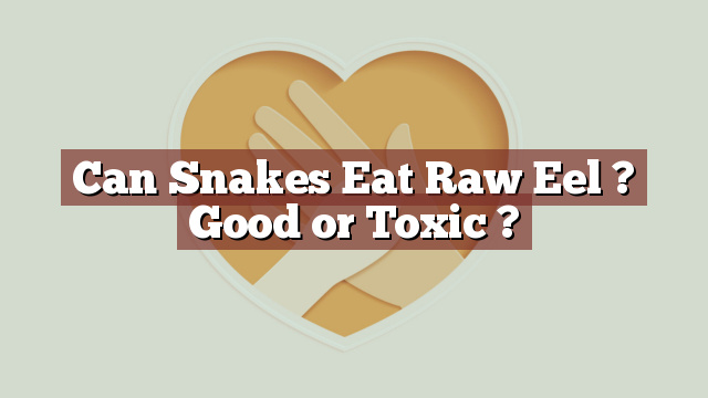 Can Snakes Eat Raw Eel ? Good or Toxic ?