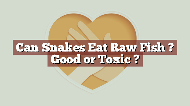 Can Snakes Eat Raw Fish ? Good or Toxic ?