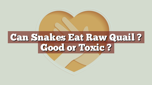 Can Snakes Eat Raw Quail ? Good or Toxic ?