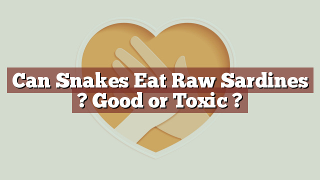Can Snakes Eat Raw Sardines ? Good or Toxic ?