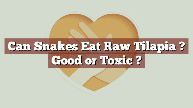 Can Snakes Eat Raw Tilapia ? Good or Toxic ?