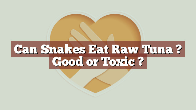 Can Snakes Eat Raw Tuna ? Good or Toxic ?