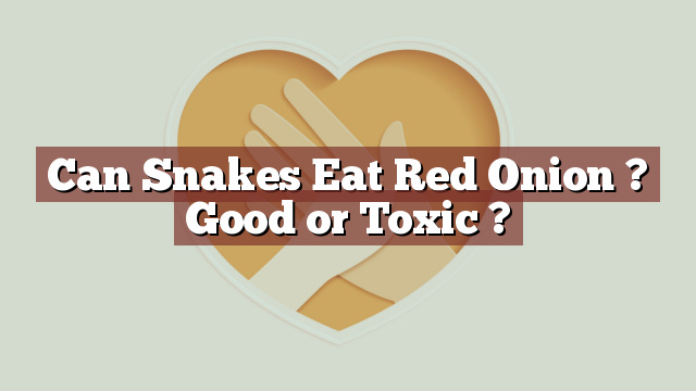 Can Snakes Eat Red Onion ? Good or Toxic ?