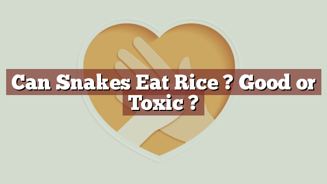 Can Snakes Eat Rice ? Good or Toxic ?